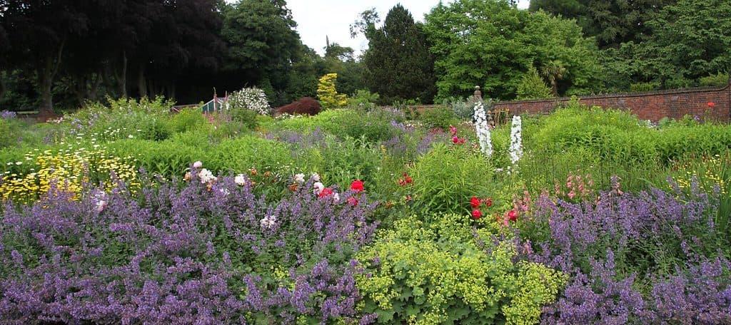 winterbourne botanical gardens, things to do in Birmingham with kids