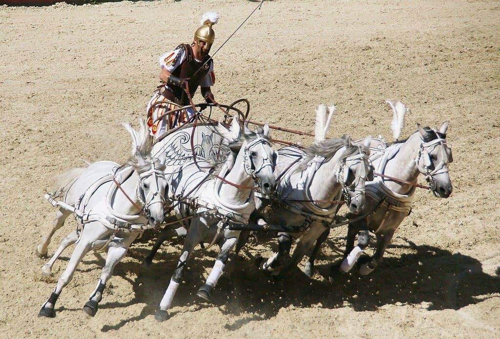 roman, chariot race, rome-4086570.jpg