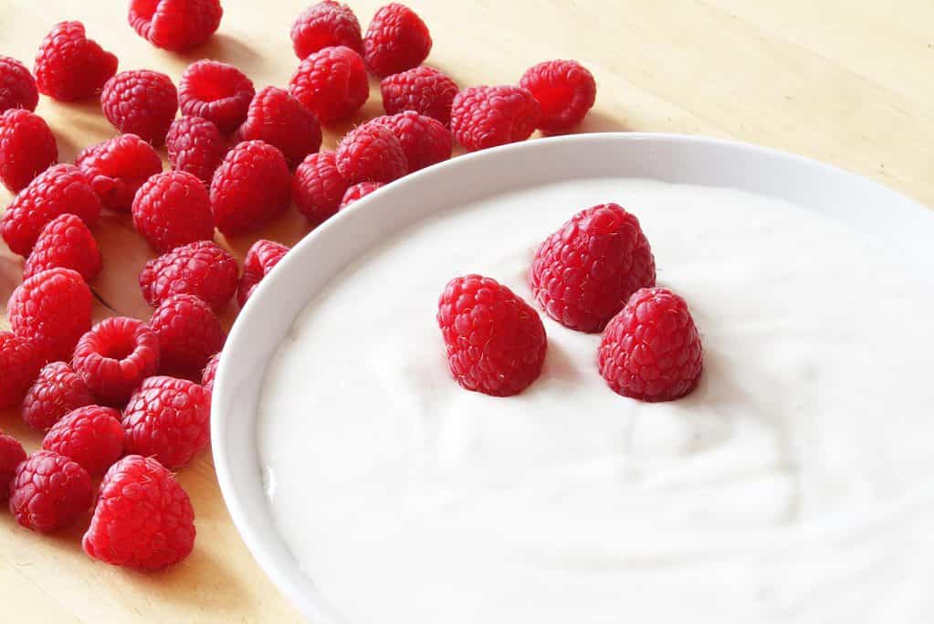 skyr yoghurt, icelandic yoghurt