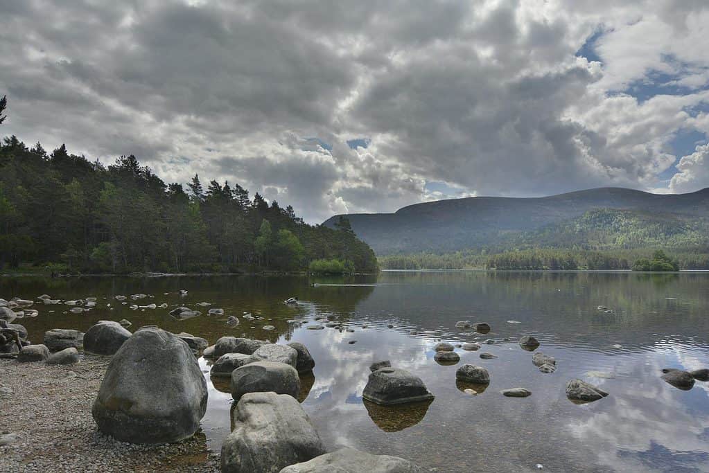 Edinburgh Waverley, Cairngorms National Park, park, nature