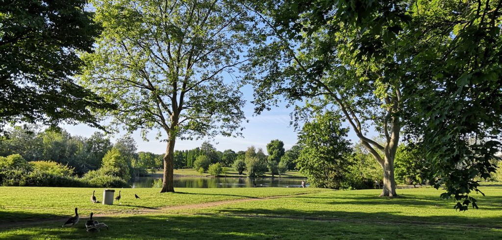 park, nature, kids, nature parks