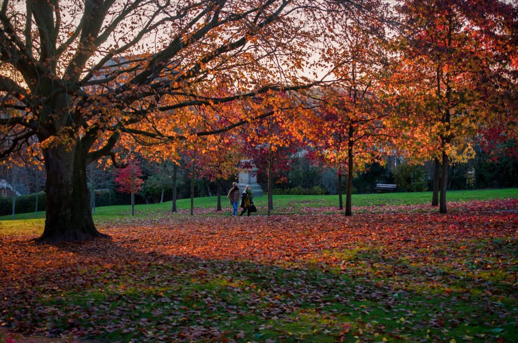 Northernhay Gardens, things to do in Exeter with kids