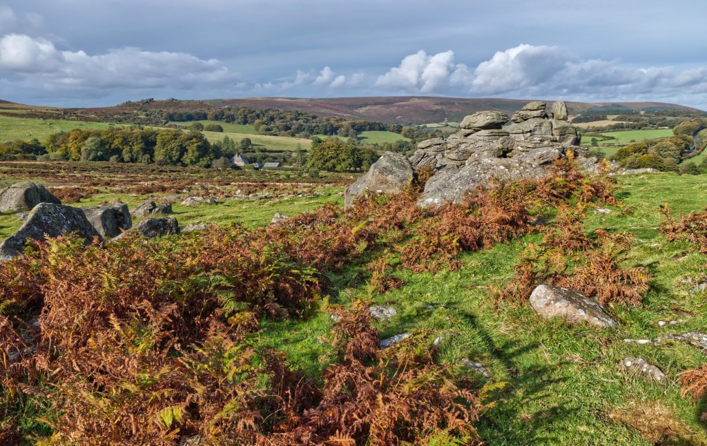 Dartmoor National Park