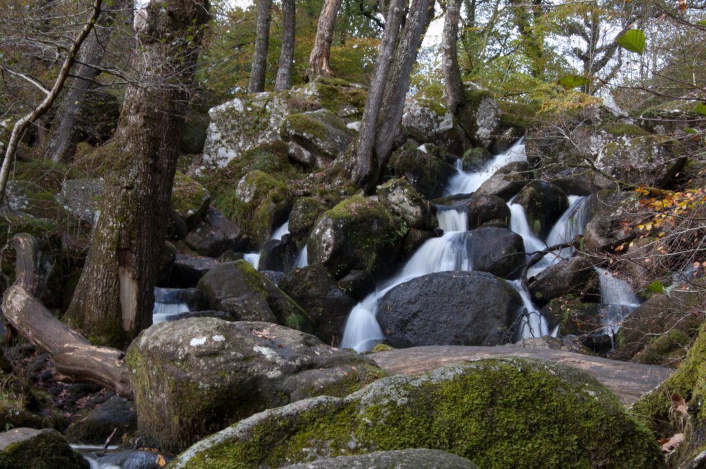 Becky falls, things to do near Exeter