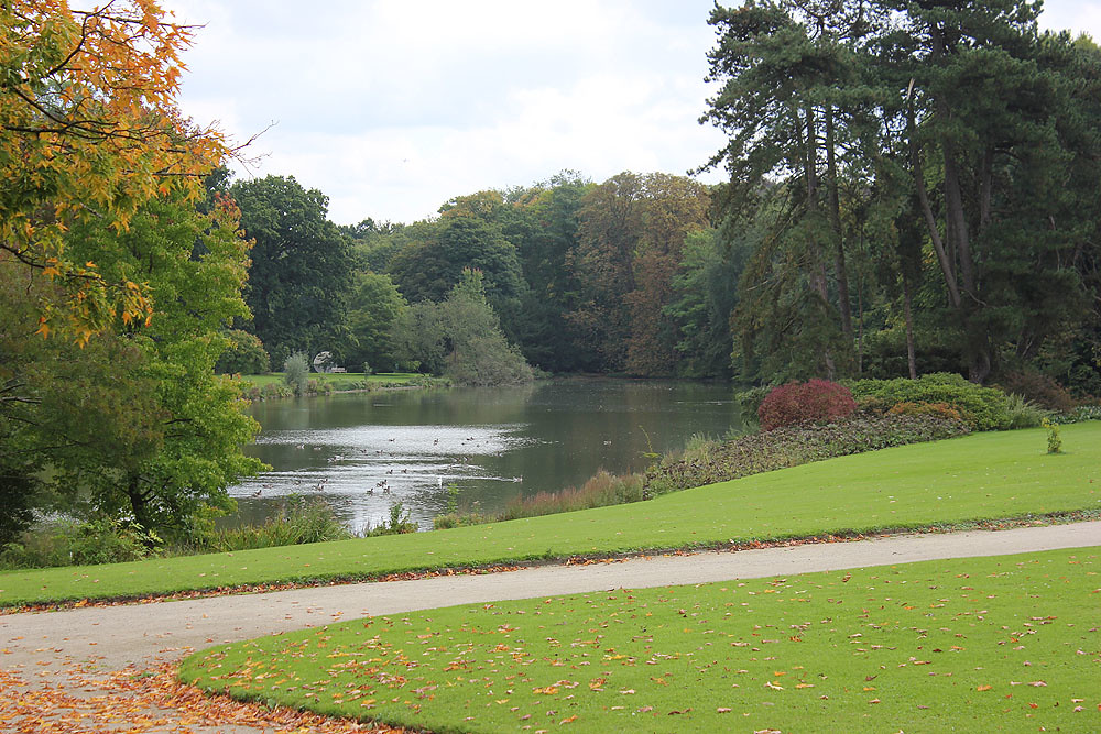 Botanical Garden of Brussels