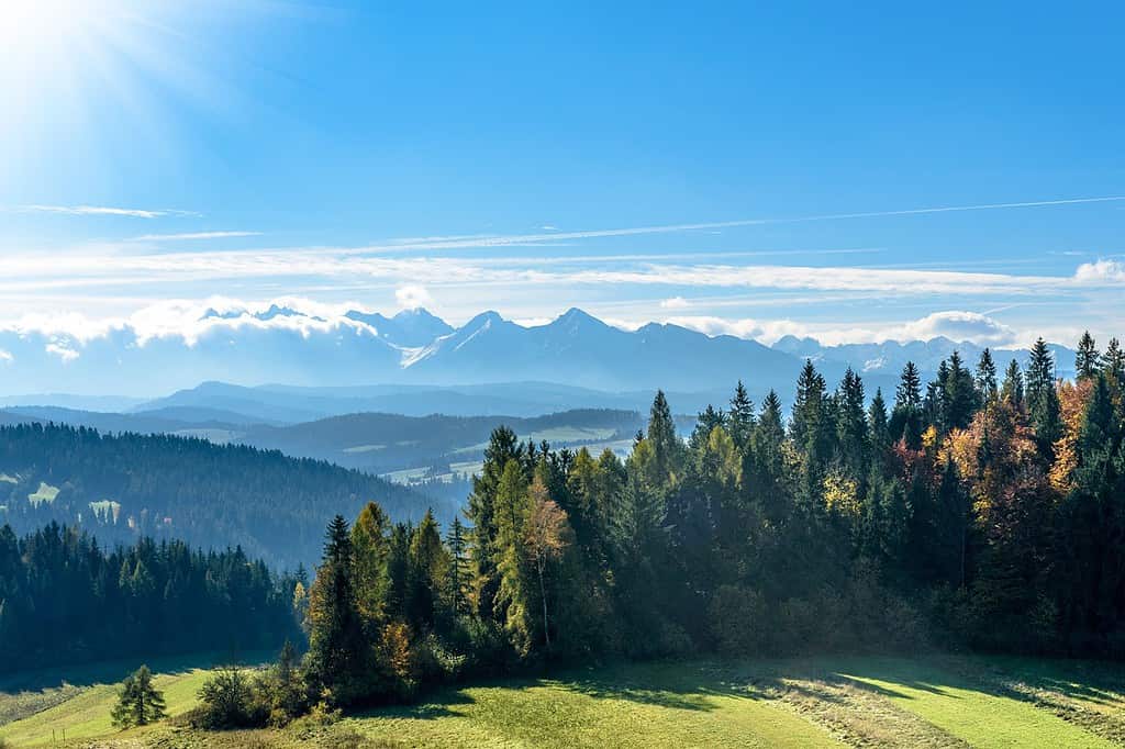 snowy peaks, meadows, mountains, facts about slovakia