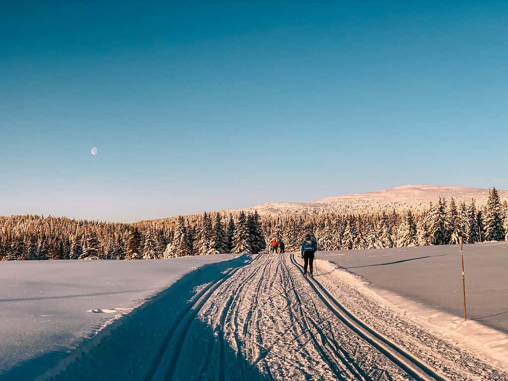 person walking on snow covered road during daytime