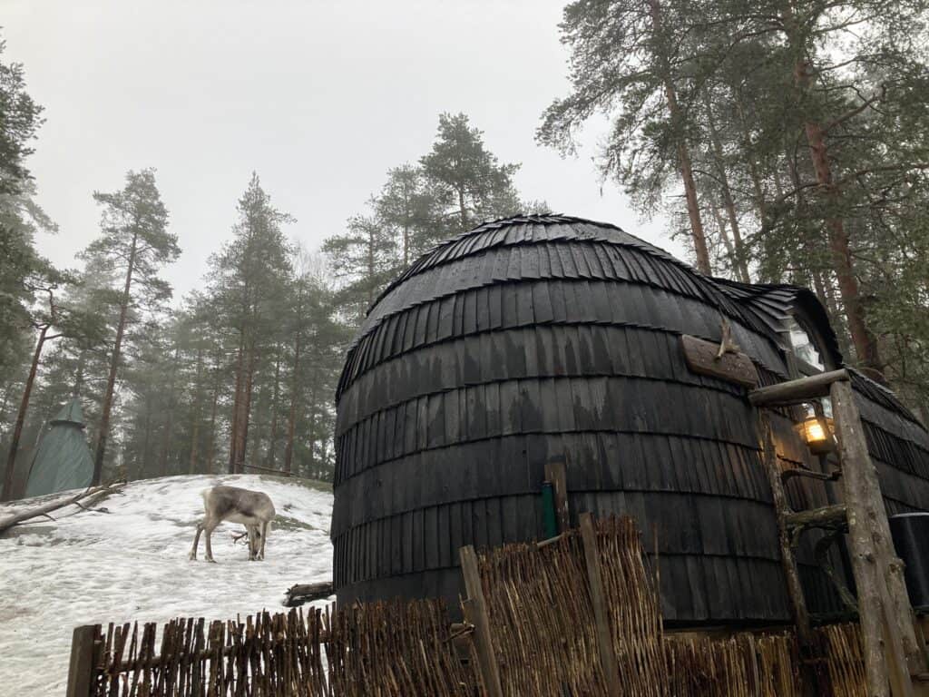 igloohuts at Nuuksio Reindeer Park